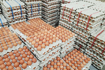 fresh raw chicken eggs in package for sale in supermarket