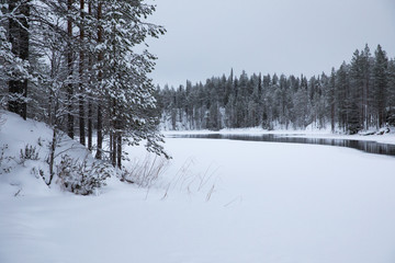 Winter scenery in Oulanka National Park. Ruka, Finland.