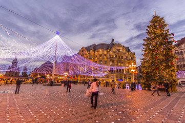 night scenery city square with Christmas tree. Timisoara