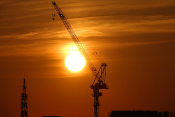 早朝のクレーン_737