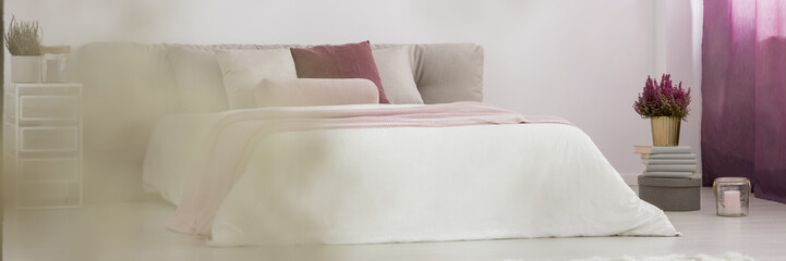 Pink plant in cozy bedroom