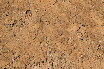 Earthen Wall