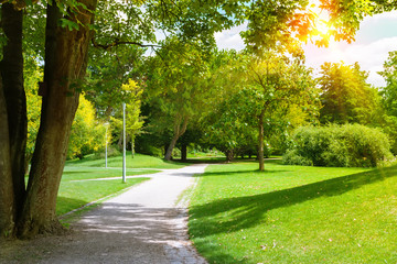 Beautiful garden with old trees and green lawns .