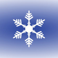 Snowflake on a blue background vector