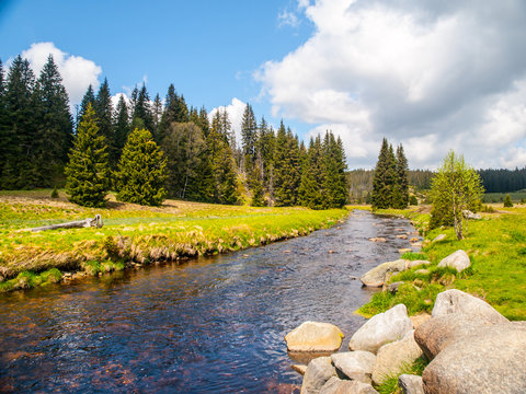 Idyllic landscape with calm mountain river on sunny day. White stones and green meadows and trees. Sumava National Park, Bohemian Forest, Czech Republic.