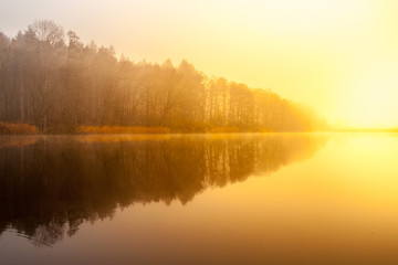 Sunrise at the water. Trees reflection in the pond on foggy morning.