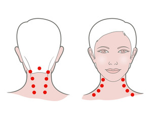 Head with a neck of a young woman with dots for self-massage. Front and back view.