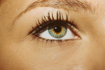 Fototapeta premium A beautiful insightful look woman's eye. 
