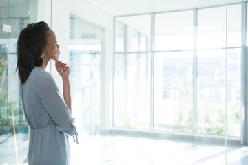 Female executives looking through transparent glass