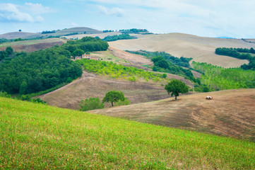 Fototapeta na wymiar Landscape in Tuscany Italy