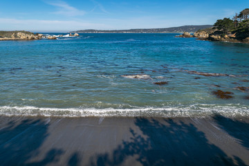 Point Lobos State Natural Reserve, Big Sur, Carmel Highlands, Monterey County, California, USA