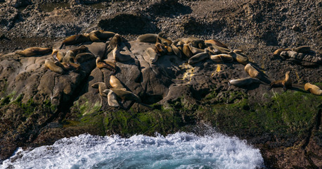Point Lobos State Natural Reserve, Big Sur, Carmel Highlands, Monterey County, California, USA