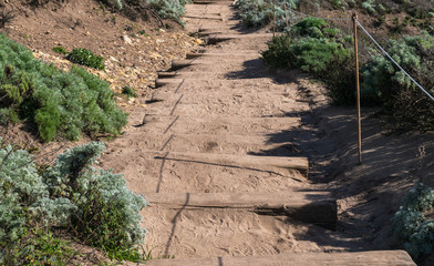 Point Lobos State Natural Reserve, Big Sur, Carmel Highlands, Monterey County, California, USA