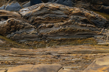 Point Lobos State Natural Reserve, Big Sur, Carmel Highlands, Monterey County, California, USA