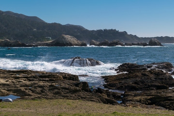 Fototapeta na wymiar Point Lobos State Natural Reserve, Big Sur, Carmel Highlands, Monterey County, California, USA
