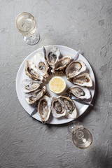 Oysters on the plate