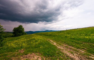 countryside road through grassy field. beautiful mountainous landscape of Carpathians before the storm