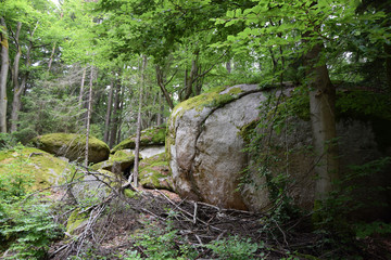 Mühlsteine an der Kösseine