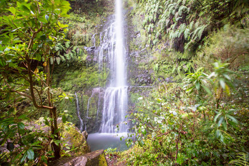 Waterfall on Levada Caldeirao Verde, Madeira, Portugal