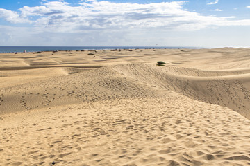 Maspalomas Sand Dune Desert, Grand Canaria