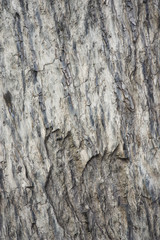 Naturstein Platte