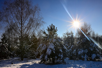 zima na Warmii © Janusz Lipiński