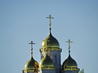 Fototapeta na wymiar The dome of the Orthodox Church