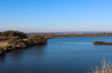 Castro Marim Marsh Natural Reserve, Vila Real de Santo Antonio in Portugal