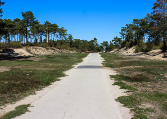 National forest Vila Real de Santo Antonio in Portugal