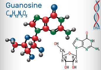 Guanosine - purine nucleoside molecule, is important part of GMP, GDP, cGMP , GTP, RNA, DNA. Structural chemical formula and molecule model