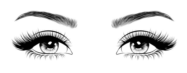 Fototapeta Hand-drawn woman's sexy luxurious eye with perfectly shaped eyebrows and full lashes. Idea for business visit card, typography vector. Perfect salon look. obraz