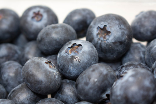 Blueberries Together