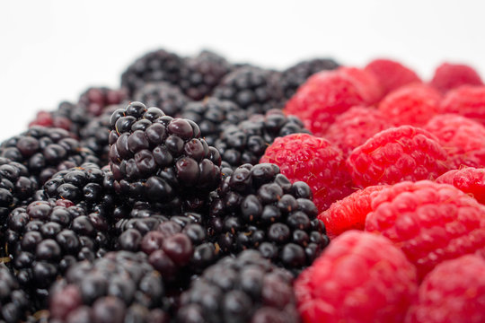 Blackberries and Raspberries 