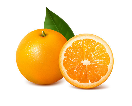 cut orange vector