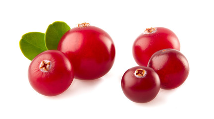 cranberry  on white background