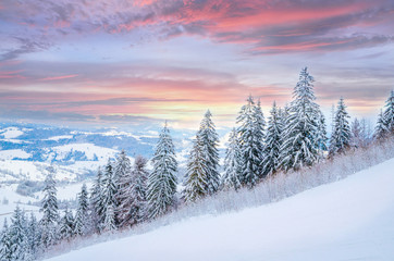 Beautiful winter sunset landscape with snow on the trees