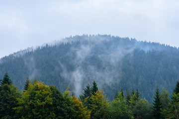 misty morning view in wet mountain area in slovakian tatra