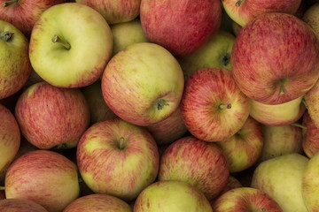 Äpfel 