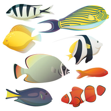 Underwater golden fishes and small sea fauna