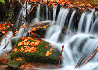 Fototapeta na wymiar autumn waterfall. Picturesque creek in the Carpathian Mountains