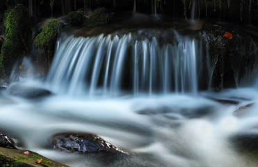 autumn waterfall. Picturesque creek in the Carpathian Mountains