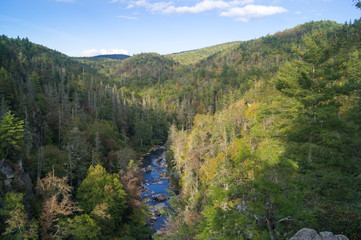 Fototapeta na wymiar Mountain River in Valley