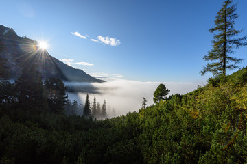 misty morning view in wet mountain area in slovakian tatra
