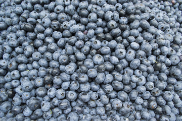 Blaubeeren