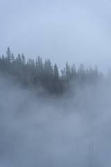 Fototapeta na wymiar misty morning view in wet mountain area in slovakian tatra. autumn colored forests