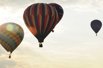 Fototapeta premium Hot Air Balloons