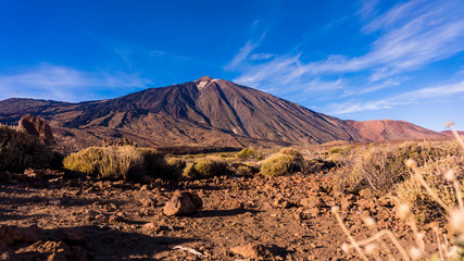 Teide National Park, Tenerife, Canary Islands, Spain