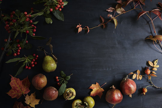 Still life composition with autumn fruits and foliage