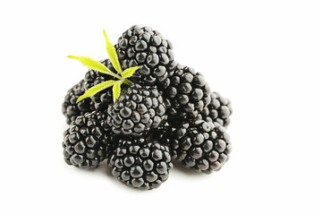 Ripe blackberries isolated on white background