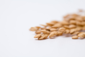 Ears of korean rice isolated on a white background
